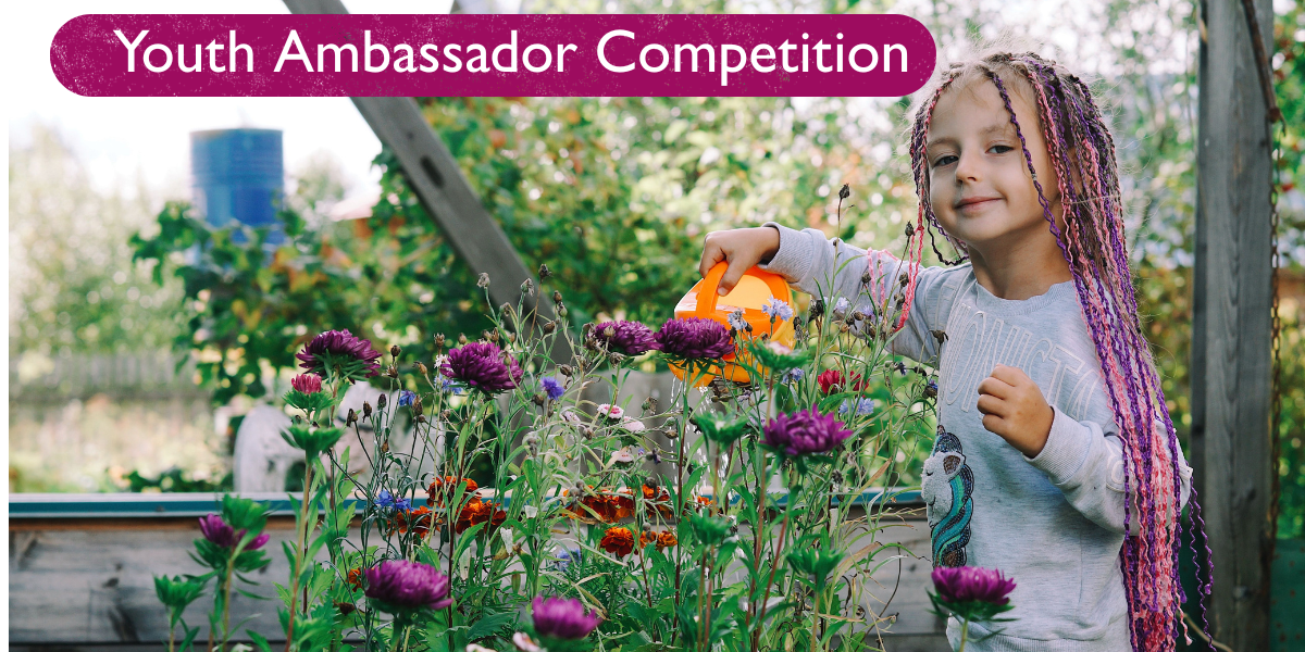 Youth Ambassador Competition